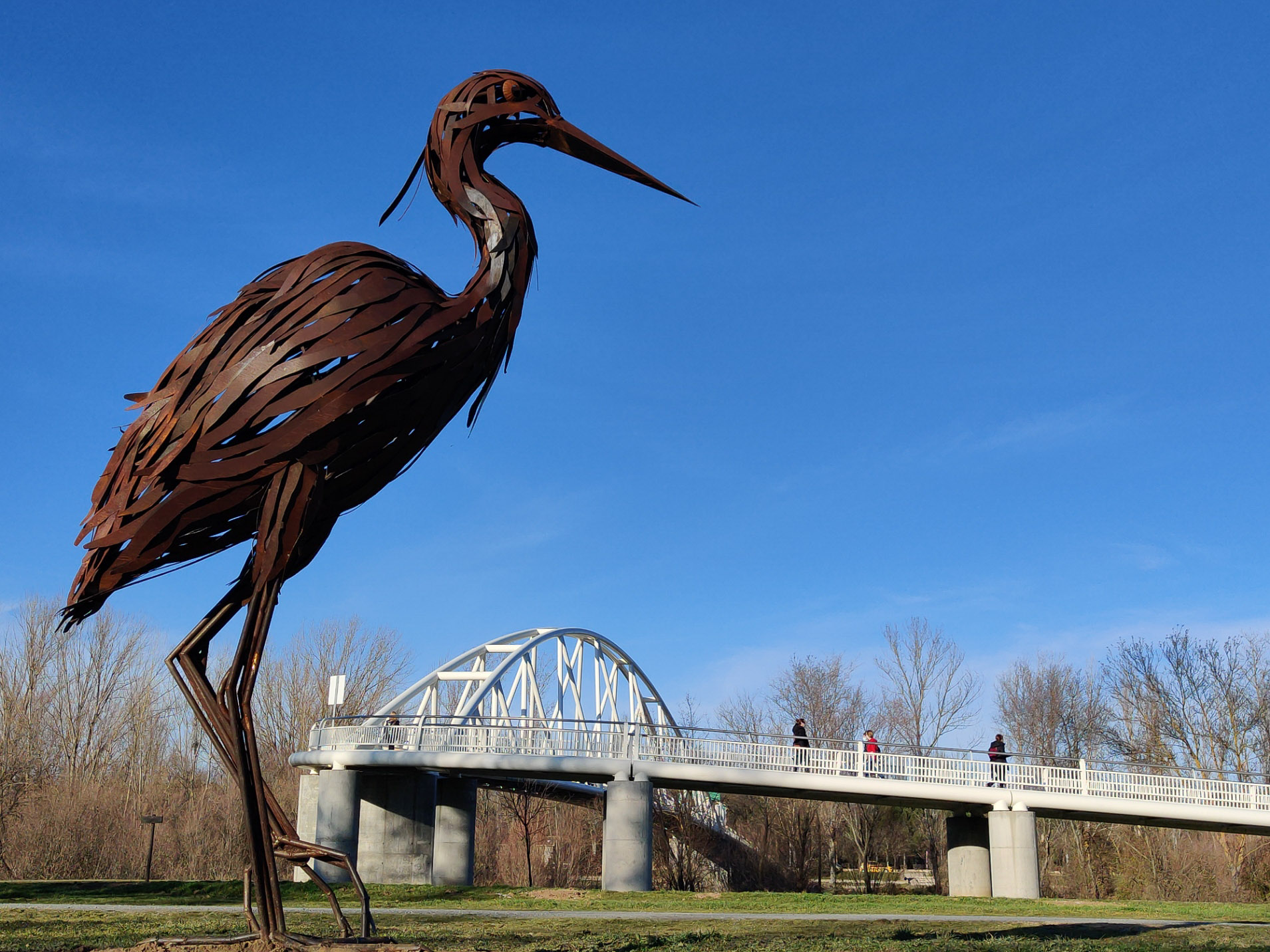 Isla del Soto y Arte Emboscado